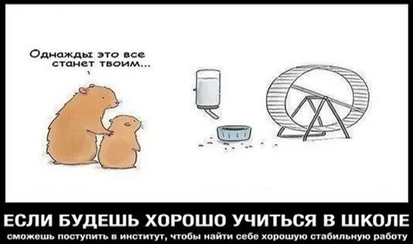 ovurOhO5Vvs.jpg.522f2aba054347ef1e5d3a3bbe4e51ba.jpg