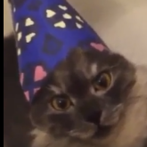 Роман Котовский