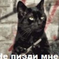 Рената Башарова