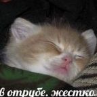 Слушаю маму и хардкор