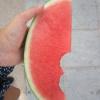 тигруля
