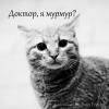 потерялся