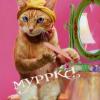 Маруська Климова