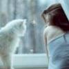 Alience