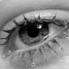 fan.nataly