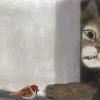 КотВмешке